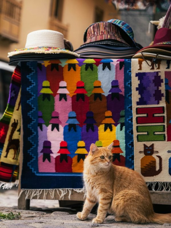 Pet Products-reviewguid Pet Products-reviewguid